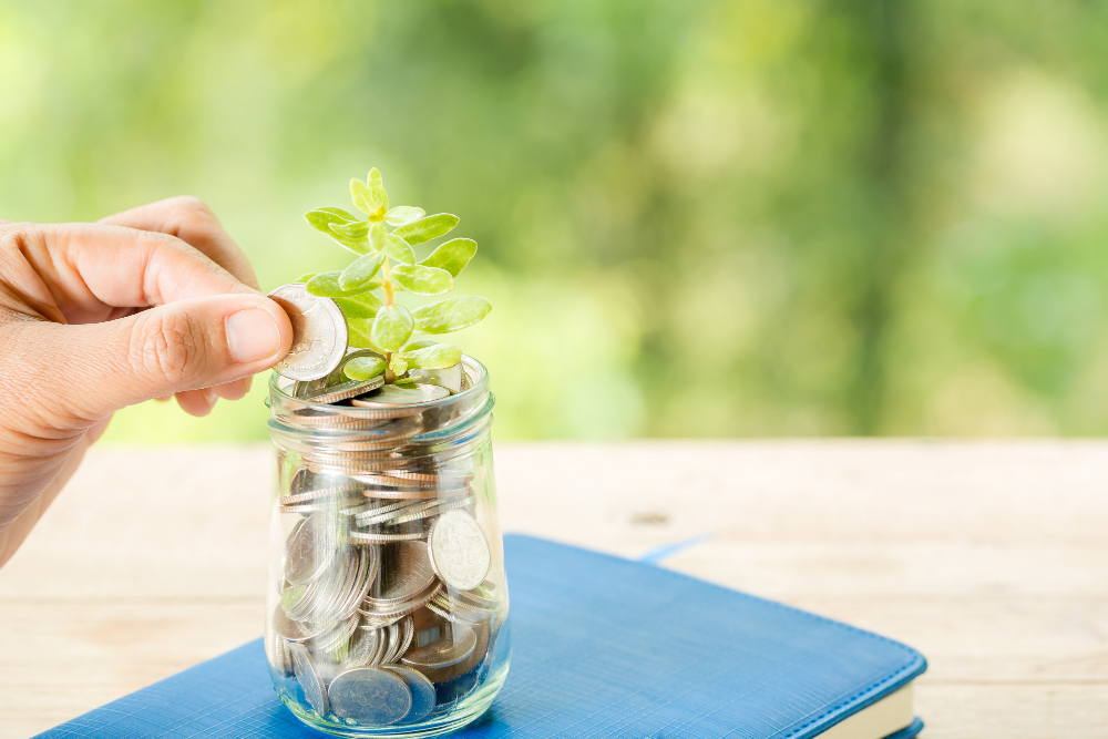 program czyste powietrze nowy sacz